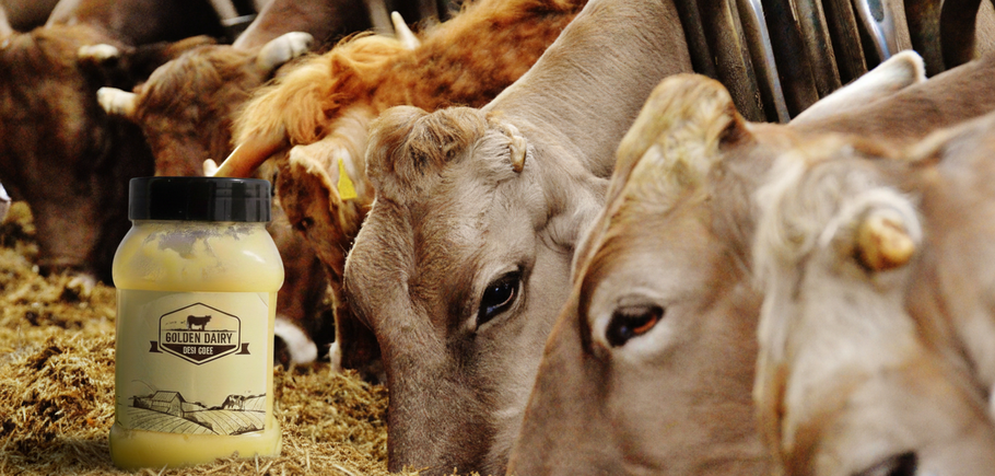 Why Golden Dairy’s Desi Cow Ghee is the Natural Choice for Your Home