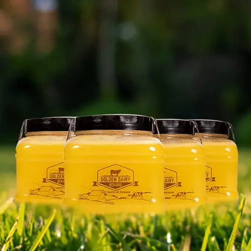 Cow Desi Ghee | Pack of 3 x 875g Jars mygoldendairy.com