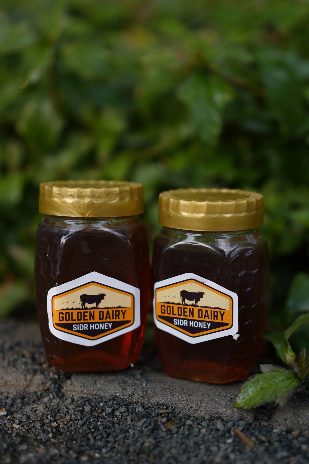 Twin Pack: Pure Sidr Honey mygoldendairy.com